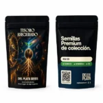 Bóveda