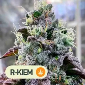 bananukis rkiem seeds
