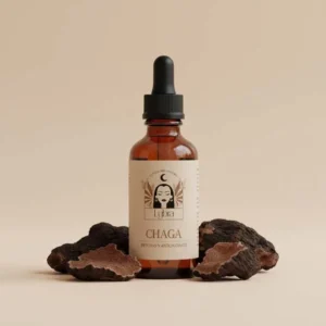 Chaga Hongo Adaptógeno