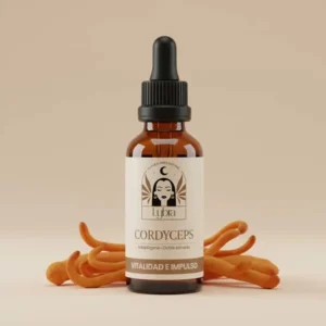Cordyceps Hongo Adaptógeno