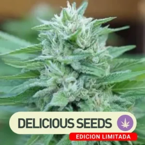 Moby Delicious Seeds