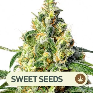 green poison auto sweet seeds